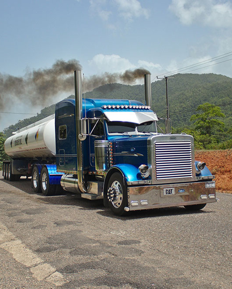 Export Services